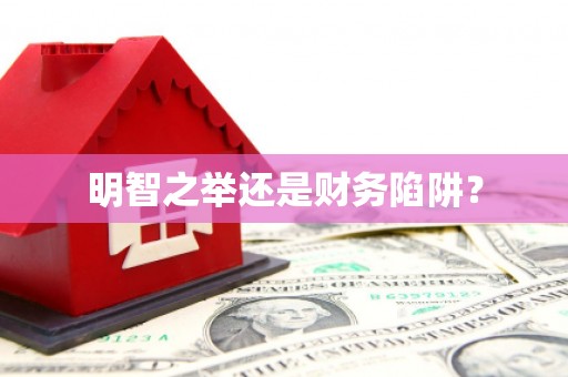 梨树明智之举还是财务陷阱？