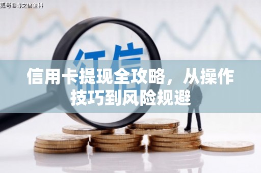 梨树信用卡提现全攻略，从操作技巧到风险规避