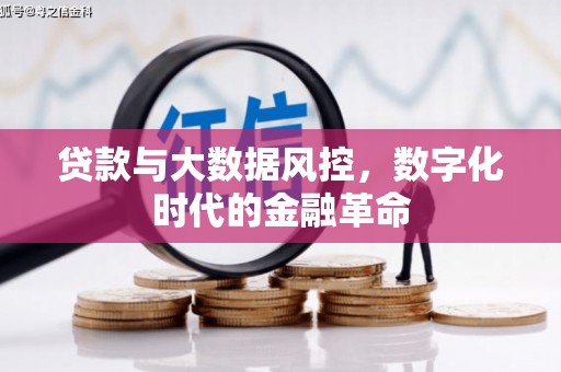 梨树贷款与大数据风控，数字化时代的金融革命
