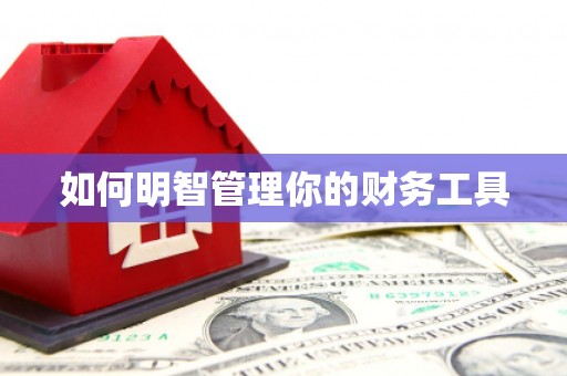 梨树如何明智管理你的财务工具