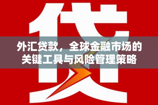 梨树外汇贷款，全球金融市场的关键工具与风险管理策略