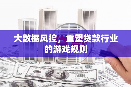 梨树大数据风控，重塑贷款行业的游戏规则