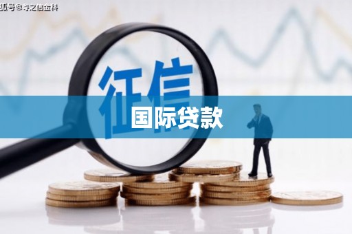 梨树国际贷款