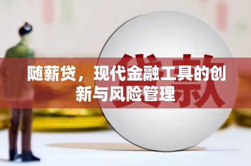 梨树随薪贷，现代金融工具的创新与风险管理