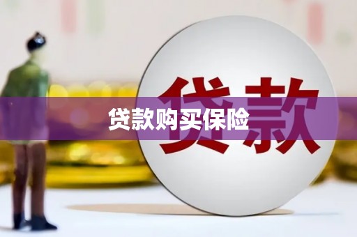 梨树贷款购买保险