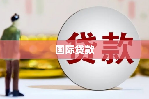 梨树国际贷款
