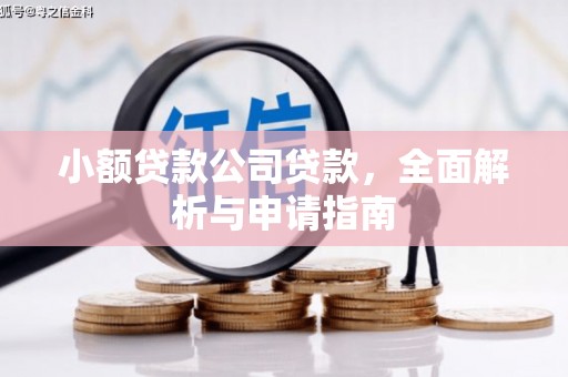 梨树小额贷款公司贷款，全面解析与申请指南