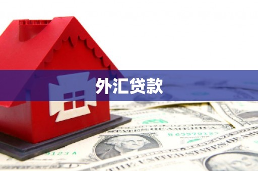 梨树外汇贷款