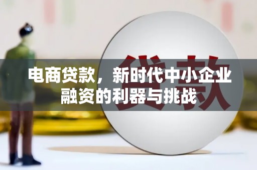 梨树电商贷款，新时代中小企业融资的利器与挑战
