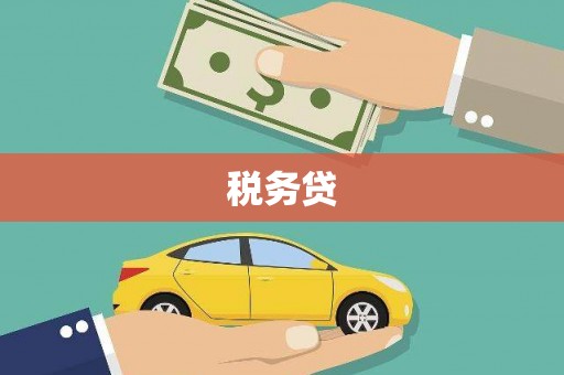 梨树税务贷