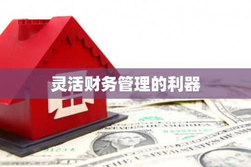 梨树灵活财务管理的利器