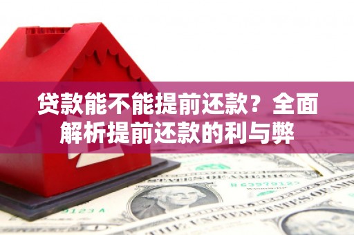梨树贷款能不能提前还款？全面解析提前还款的利与弊