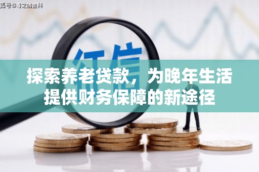 梨树探索养老贷款，为晚年生活提供财务保障的新途径