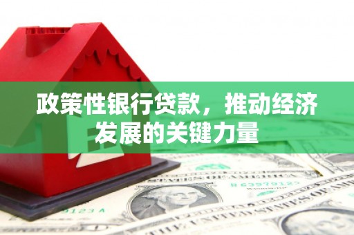 梨树政策性银行贷款，推动经济发展的关键力量