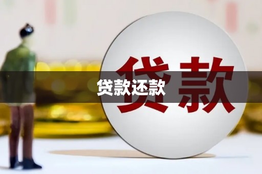梨树贷款还款