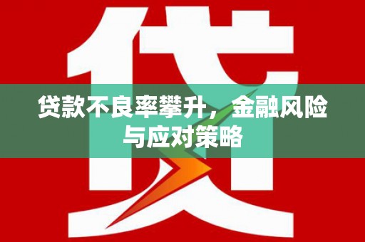 梨树贷款不良率攀升，金融风险与应对策略