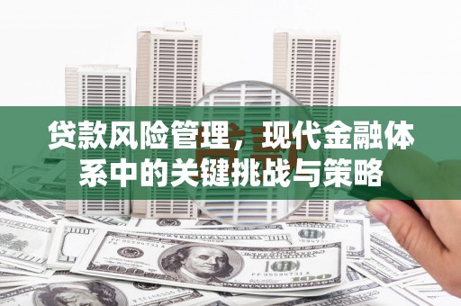 梨树贷款风险管理，现代金融体系中的关键挑战与策略
