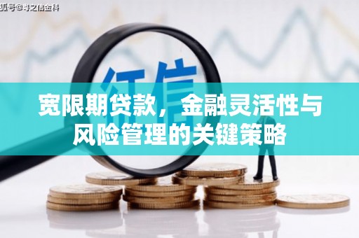 梨树宽限期贷款，金融灵活性与风险管理的关键策略