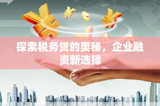 梨树探索税务贷的奥秘，企业融资新选择