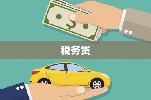 梨树税务贷