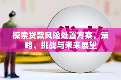 梨树探索贷款风险处置方案，策略、挑战与未来展望