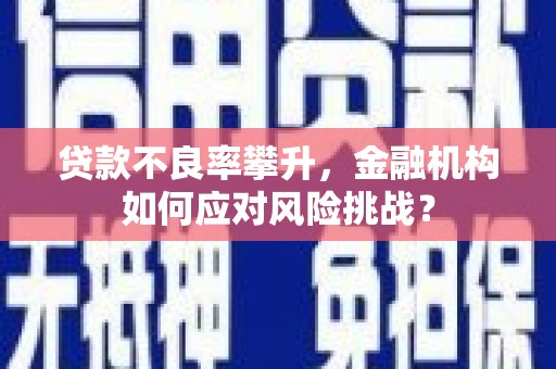 梨树贷款不良率攀升，金融机构如何应对风险挑战？