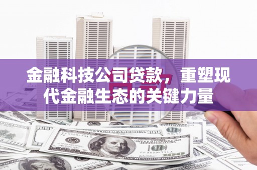 梨树金融科技公司贷款，重塑现代金融生态的关键力量