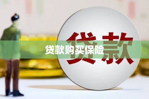 梨树贷款购买保险