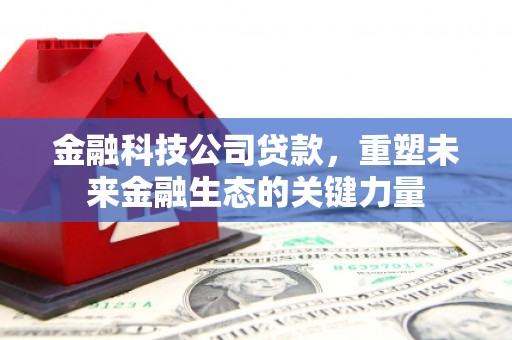 梨树金融科技公司贷款，重塑未来金融生态的关键力量