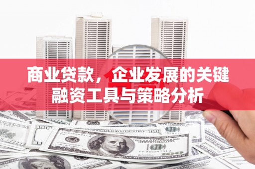 梨树商业贷款，企业发展的关键融资工具与策略分析