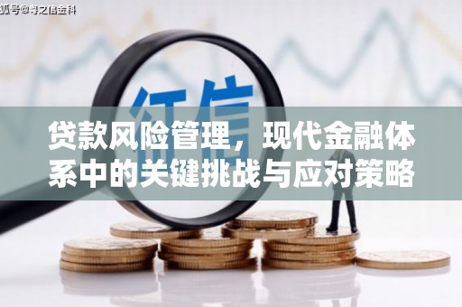 梨树贷款风险管理，现代金融体系中的关键挑战与应对策略