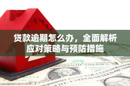 梨树贷款逾期怎么办，全面解析应对策略与预防措施