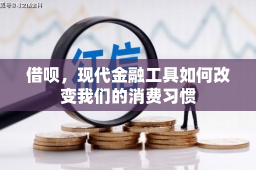 梨树借呗，现代金融工具如何改变我们的消费习惯