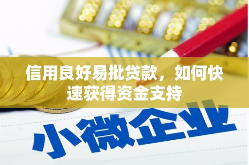 梨树信用良好易批贷款，如何快速获得资金支持