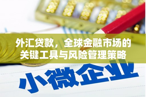 梨树外汇贷款，全球金融市场的关键工具与风险管理策略