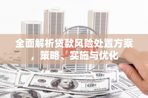 梨树全面解析贷款风险处置方案，策略、实施与优化