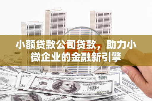梨树小额贷款公司贷款，助力小微企业的金融新引擎
