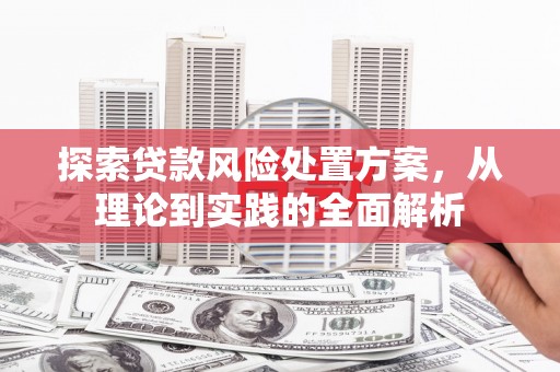梨树探索贷款风险处置方案，从理论到实践的全面解析