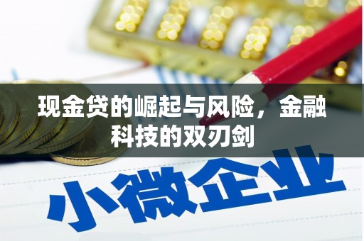 梨树现金贷的崛起与风险，金融科技的双刃剑