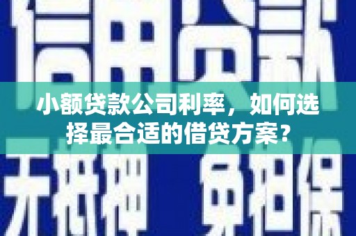 梨树小额贷款公司利率，如何选择最合适的借贷方案？