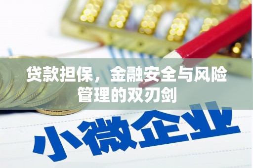 梨树贷款担保，金融安全与风险管理的双刃剑