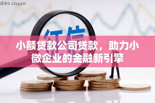梨树小额贷款公司贷款，助力小微企业的金融新引擎