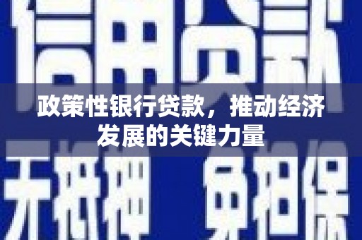 梨树政策性银行贷款，推动经济发展的关键力量