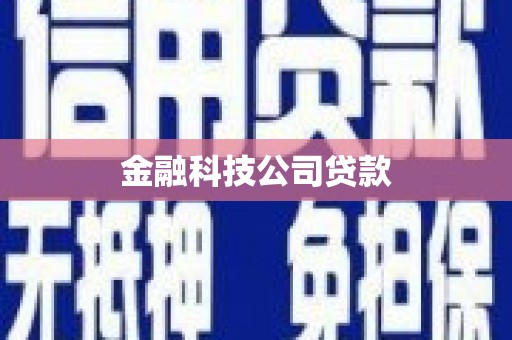 梨树金融科技公司贷款