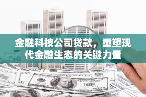 梨树金融科技公司贷款，重塑现代金融生态的关键力量