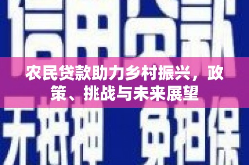 梨树农民贷款助力乡村振兴，政策、挑战与未来展望
