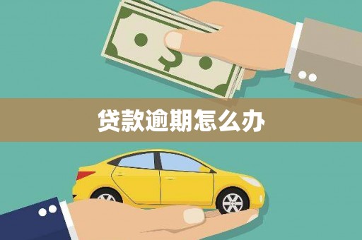 梨树贷款逾期怎么办