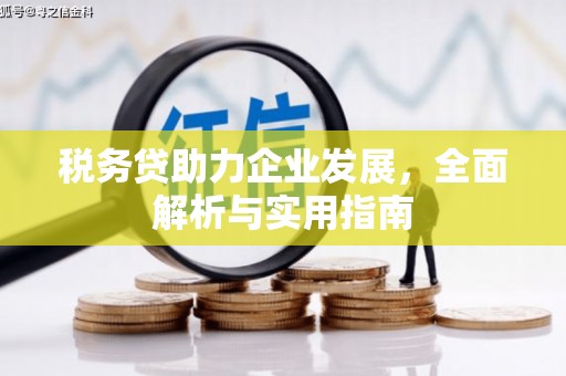 梨树税务贷助力企业发展，全面解析与实用指南
