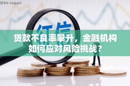 梨树贷款不良率攀升，金融机构如何应对风险挑战？