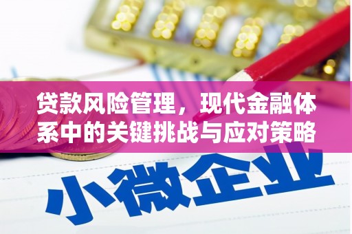 梨树贷款风险管理，现代金融体系中的关键挑战与应对策略